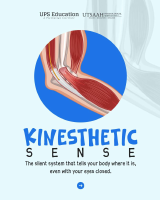 kinesthetic sense.pdf